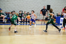 Enlarge photo 310