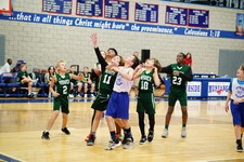 Enlarge photo 315