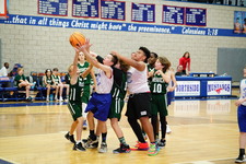Enlarge photo 316