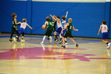 Enlarge photo 331