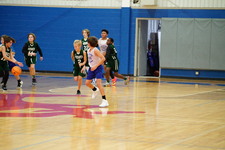 Enlarge photo 339