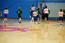 Enlarge photo 340
