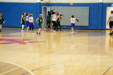 Enlarge photo 343