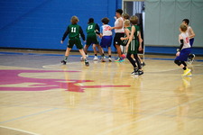 Enlarge photo 351