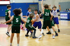 Enlarge photo 397