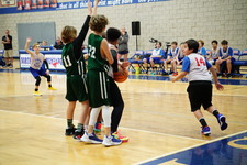Enlarge photo 434