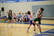 Enlarge photo 461