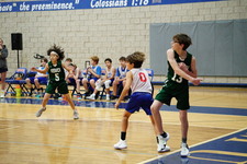 Enlarge photo 462
