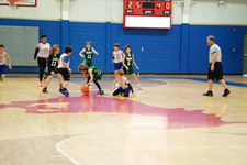 Enlarge photo 471