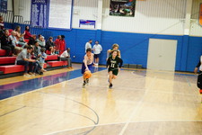 Enlarge photo 481