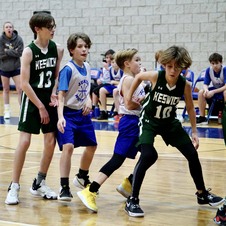 Enlarge photo 498