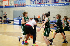 Enlarge photo 501