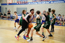 Enlarge photo 503