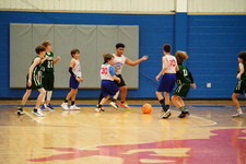Enlarge photo 511
