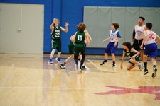 Enlarge photo 513