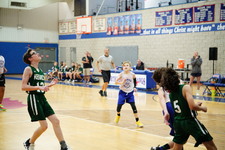 Enlarge photo 529