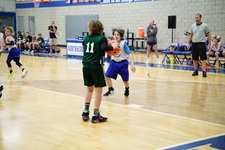 Enlarge photo 564