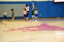 Enlarge photo 569