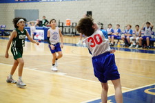 Enlarge photo 636