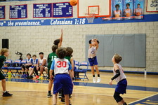 Enlarge photo 655