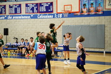 Enlarge photo 654