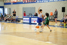 Enlarge photo 672
