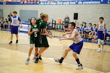 Enlarge photo 719