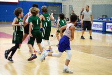 Enlarge photo 783