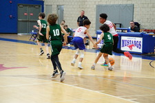 Enlarge photo 815