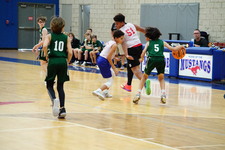 Enlarge photo 816