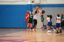 Enlarge photo 115