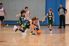 Enlarge photo 135