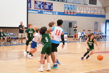 Enlarge photo 156