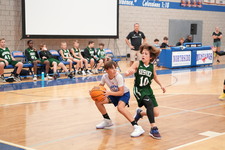 Enlarge photo 206