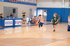 Enlarge photo 216