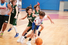 Enlarge photo 225