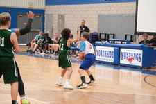 Enlarge photo 243