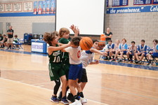 Enlarge photo 315