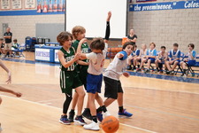 Enlarge photo 317