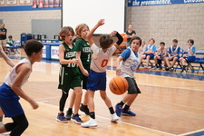 Enlarge photo 318