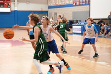 Enlarge photo 449