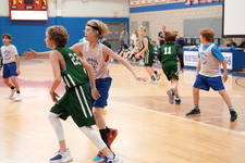 Enlarge photo 451