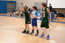 Enlarge photo 475
