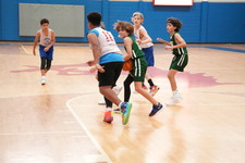 Enlarge photo 485