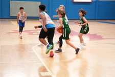 Enlarge photo 486