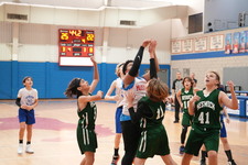 Enlarge photo 511