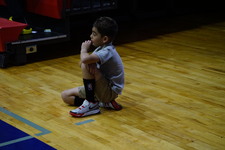 Enlarge photo 24