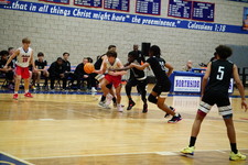Enlarge photo 95