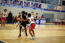 Enlarge photo 166