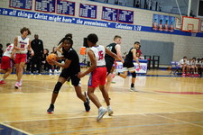 Enlarge photo 167